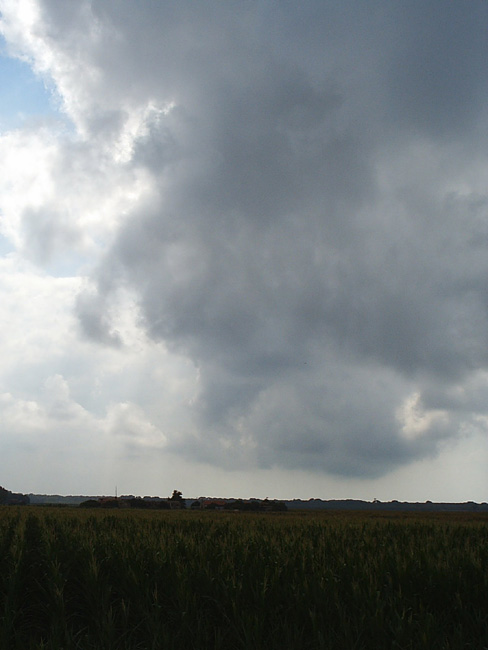 Pic_0072b