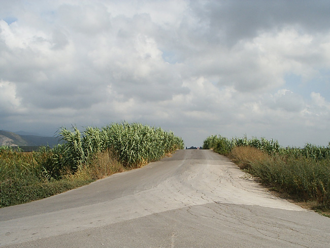 Pic_0075b