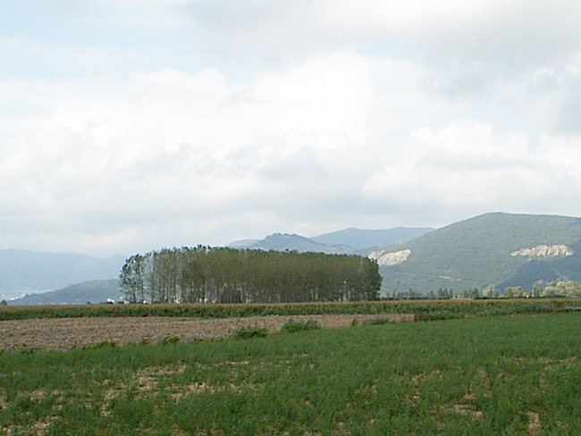 Pic_0078b