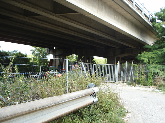 Pic_0084b