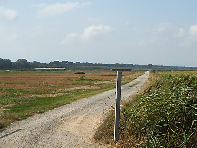 Pic_0090b