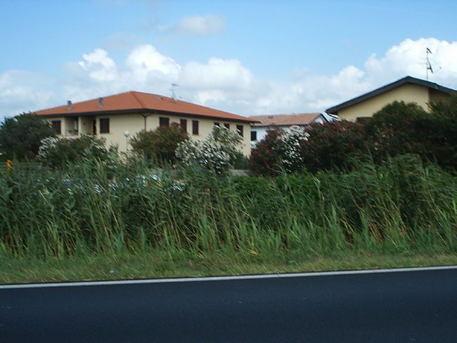 Pic_0099b