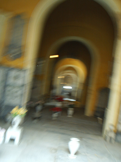 Pic_0123b