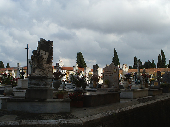 Pic_0145b