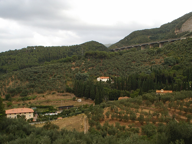 Pic_0174b