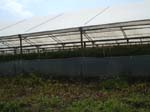 Pic_0014b