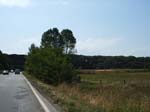 Pic_0018b
