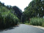Pic_0020b