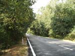 Pic_0025b
