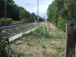 Pic_0027b