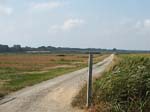 Pic_0090b