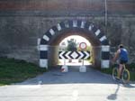 Pic_0091b