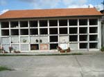 Pic_0122b