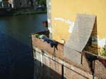 Pic_0157b
