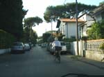 Pic_0164b