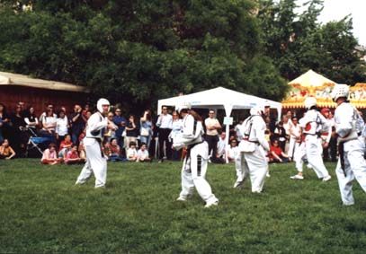 festaparco35.jpg (33356 byte)
